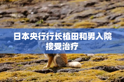 日本央行行长植田和男入院接受治疗