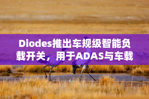 Diodes推出车规级智能负载开关，用于ADAS与车载信息娱乐系统