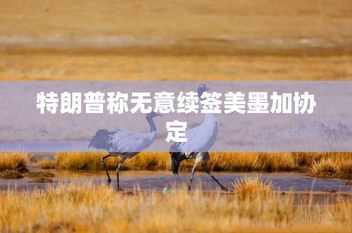 特朗普称无意续签美墨加协定
