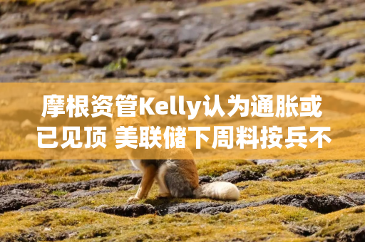 摩根资管Kelly认为通胀或已见顶 美联储下周料按兵不动