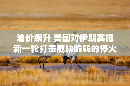 油价飙升 美国对伊朗实施新一轮打击威胁脆弱的停火协议