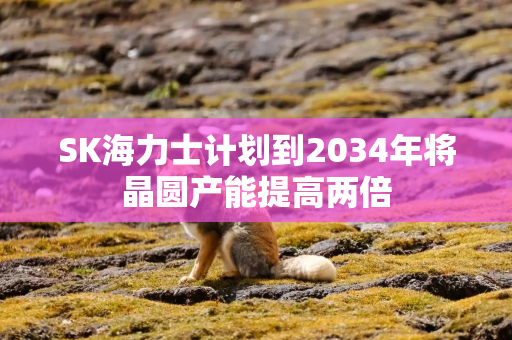 SK海力士计划到2034年将晶圆产能提高两倍