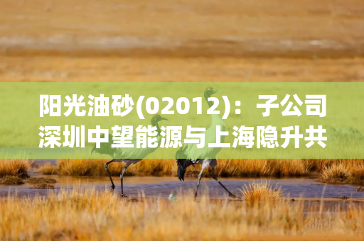 阳光油砂(02012)：子公司深圳中望能源与上海隐升共同合资设立上海隐升能源有限公司