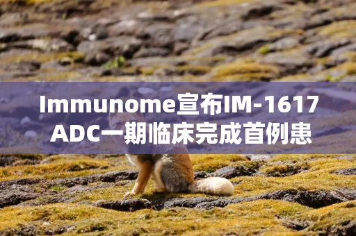 Immunome宣布IM-1617 ADC一期临床完成首例患者给药