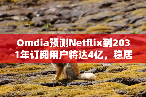 Omdia预测Netflix到2031年订阅用户将达4亿，稳居全球流媒体榜首