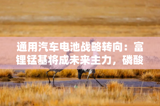 通用汽车电池战略转向：富锂锰基将成未来主力，磷酸铁锂退守储能