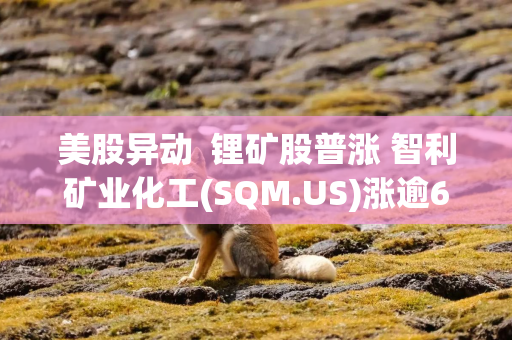 美股异动  锂矿股普涨 智利矿业化工(SQM.US)涨逾6%