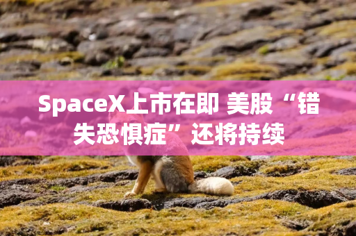 SpaceX上市在即 美股“错失恐惧症”还将持续