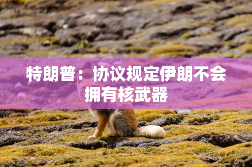 特朗普：协议规定伊朗不会拥有核武器