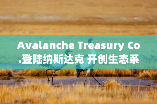 Avalanche Treasury Co.登陆纳斯达克 开创生态系统投资新模式