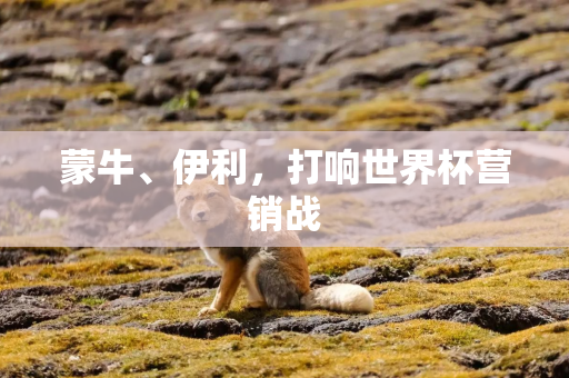 蒙牛、伊利，打响世界杯营销战