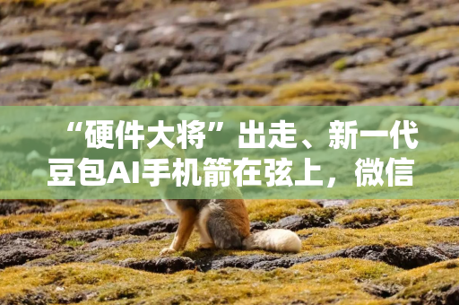 “硬件大将”出走、新一代豆包AI手机箭在弦上，微信A2A全面开放后，AI手机下半场怎么打？