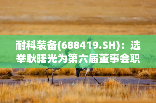 耐科装备(688419.SH)：选举耿曙光为第六届董事会职工代表董事