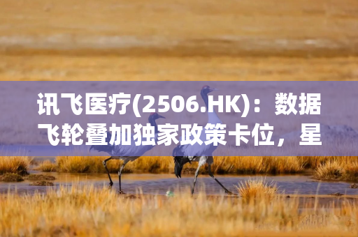 讯飞医疗(2506.HK):数据飞轮叠加独家政策卡位,星火医疗大模型V3.5构筑长期壁垒 讯飞医疗(2506.HK):数据飞轮叠加独家政策卡位,星火医疗大模型V3.5构筑长期壁垒
