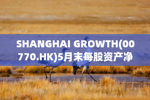 SHANGHAI GROWTH(00770.HK)5月末每股资产净值为0.05美元