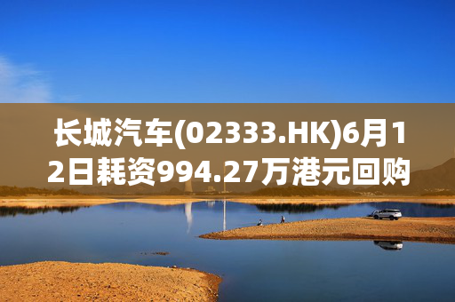 长城汽车(02333.HK)6月12日耗资994.27万港元回购94万股