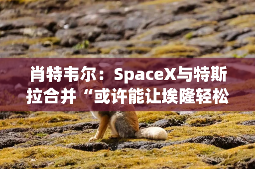 肖特韦尔：SpaceX与特斯拉合并“或许能让埃隆轻松一点”