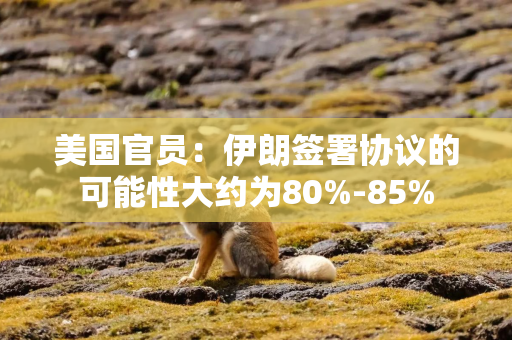 美国官员：伊朗签署协议的可能性大约为80%-85%