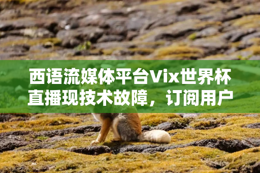 西语流媒体平台Vix世界杯直播现技术故障，订阅用户高呼退款