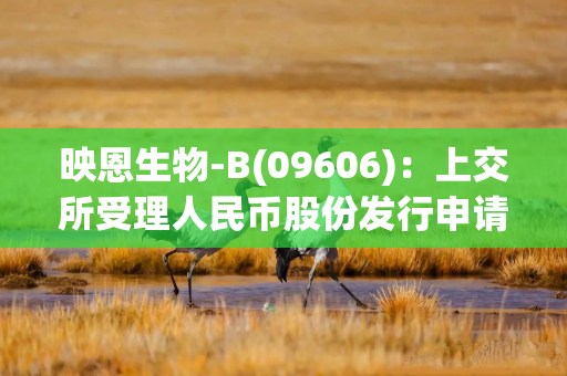 映恩生物-B(09606)：上交所受理人民币股份发行申请材料
