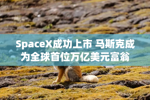 SpaceX成功上市 马斯克成为全球首位万亿美元富翁