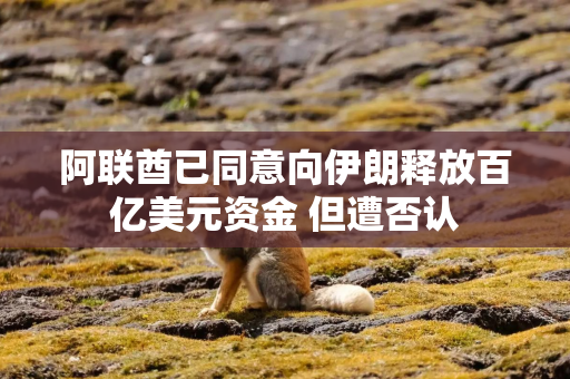 阿联酋已同意向伊朗释放百亿美元资金 但遭否认