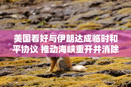 美国看好与伊朗达成临时和平协议 推动海峡重开并消除核威胁 美国看好与伊朗达成临时和平协议 推动海峡重开并消除核威胁