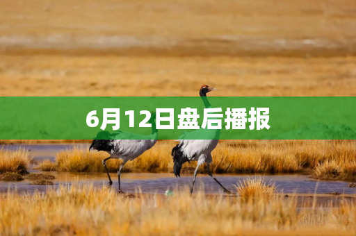 6月12日盘后播报