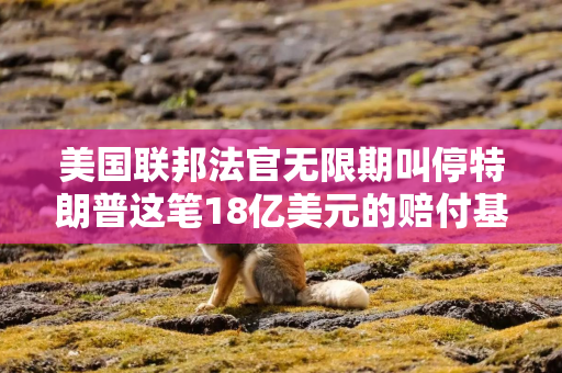 美国联邦法官无限期叫停特朗普这笔18亿美元的赔付基金