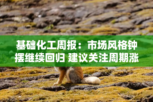 基础化工周报：市场风格钟摆继续回归 建议关注周期涨价方向
