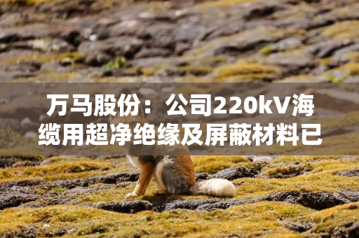 万马股份：公司220kV海缆用超净绝缘及屏蔽材料已实现工程化应用