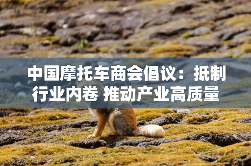 中国摩托车商会倡议：抵制行业内卷 推动产业高质量发展