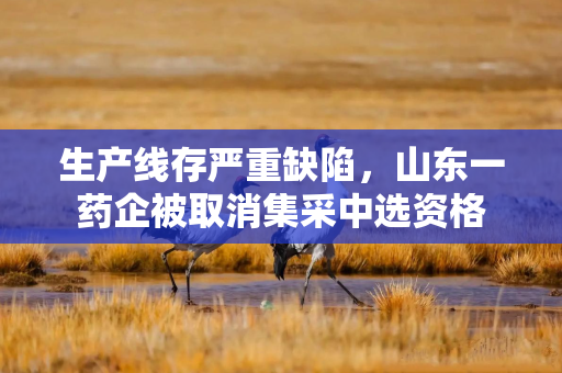 生产线存严重缺陷，山东一药企被取消集采中选资格