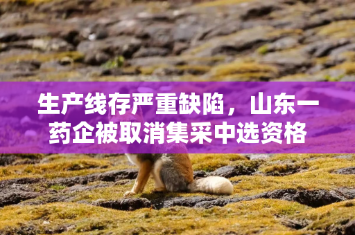 生产线存严重缺陷，山东一药企被取消集采中选资格