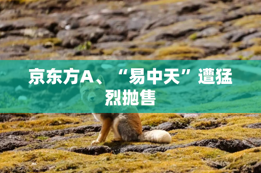 京东方A、“易中天”遭猛烈抛售
