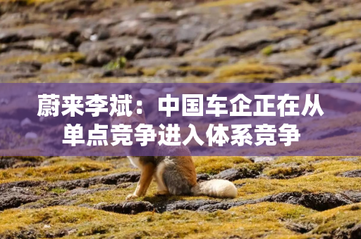蔚来李斌：中国车企正在从单点竞争进入体系竞争