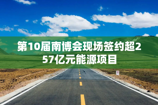 第10届南博会现场签约超257亿元能源项目