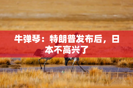 牛弹琴：特朗普发布后，日本不高兴了
