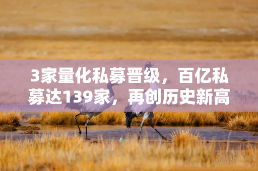 3家量化私募晋级,百亿私募达139家,再创历史新高!但5月量化策略超额显著回撤 3家量化私募晋级,百亿私募达139家,再创历史新高!但5月量化策略超额显著回撤
