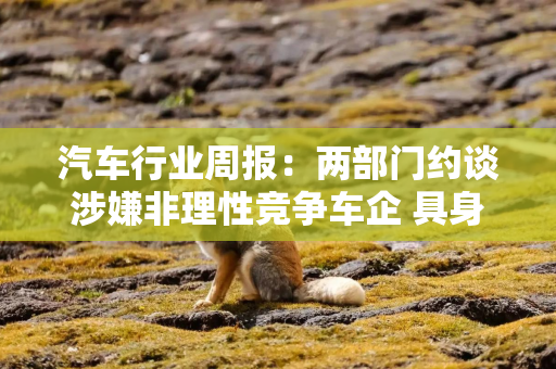 汽车行业周报：两部门约谈涉嫌非理性竞争车企 具身智能实训行动启动
