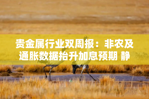 贵金属行业双周报：非农及通胀数据抬升加息预期 静待下周美联储议息会议