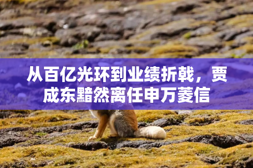 从百亿光环到业绩折戟，贾成东黯然离任申万菱信