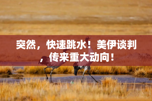 突然，快速跳水！美伊谈判，传来重大动向！