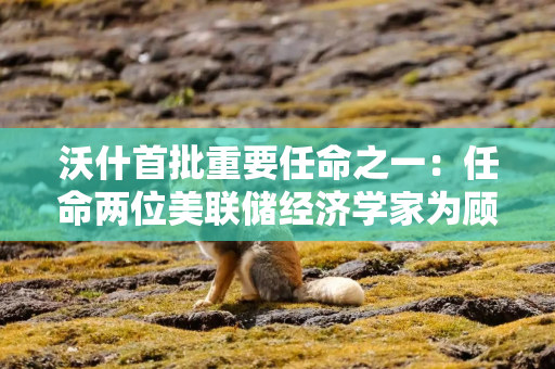 沃什首批重要任命之一：任命两位美联储经济学家为顾问，聚焦利率研究