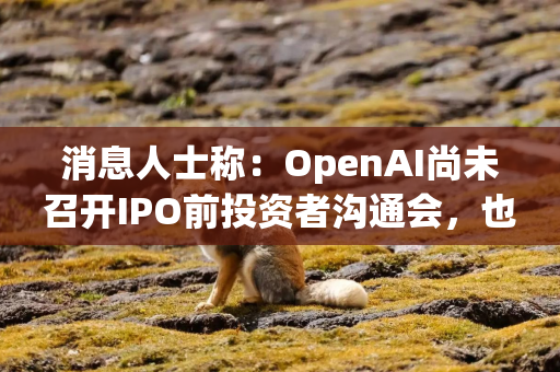 消息人士称：OpenAI尚未召开IPO前投资者沟通会，也未确定上市时间表