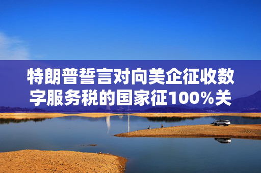 特朗普誓言对向美企征收数字服务税的国家征100%关税