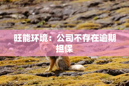 旺能环境：公司不存在逾期担保