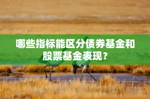哪些指标能区分债券基金和股票基金表现？