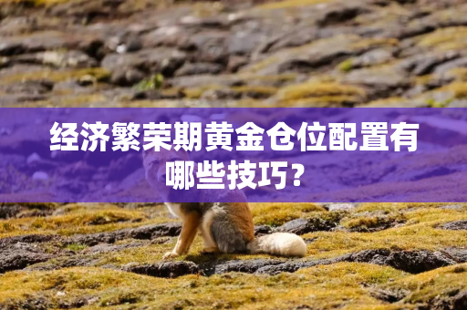 经济繁荣期黄金仓位配置有哪些技巧？