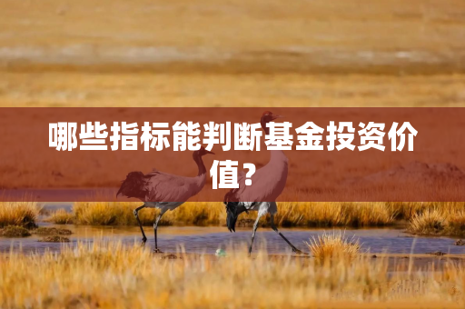 哪些指标能判断基金投资价值？